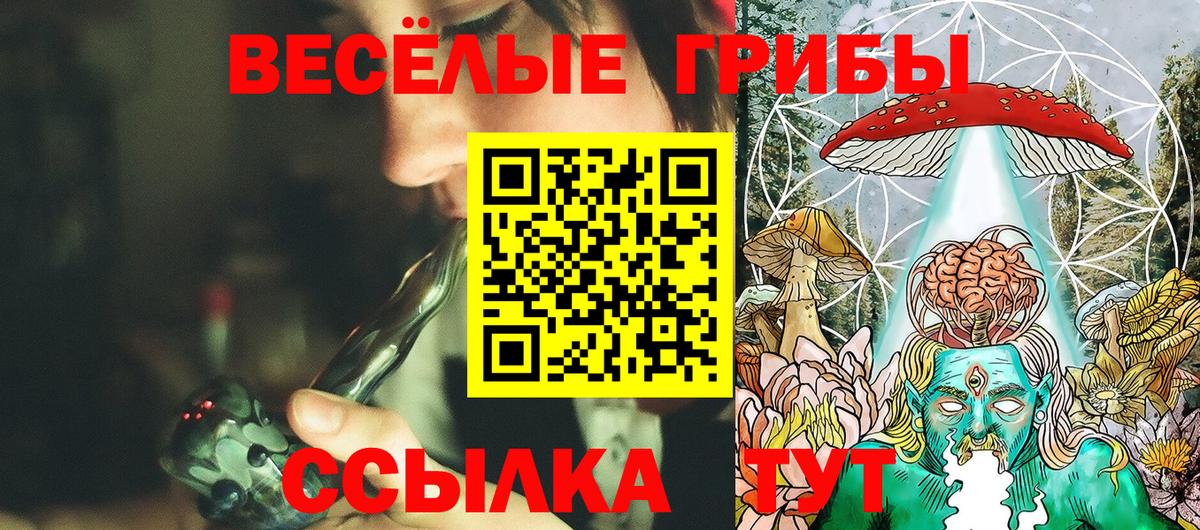 Псилоцибиновые грибы Psilocybine cubensis  Вход с VPN  Псилоцибиновые грибы мухоморы  Майский 